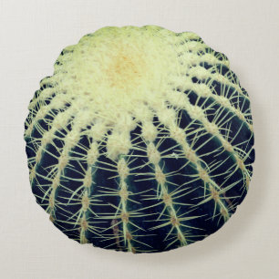 Cactus photography  round cushion