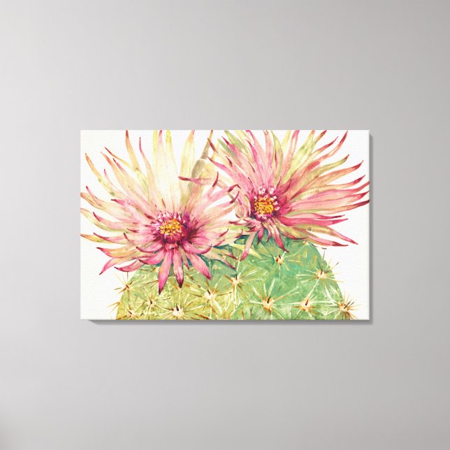 Cactus Pink Blossoms Canvas Print (Front)