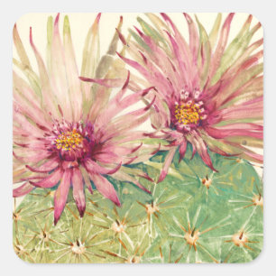 Cactus Pink Blossoms Square Sticker