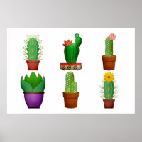 Cactus Plant Background