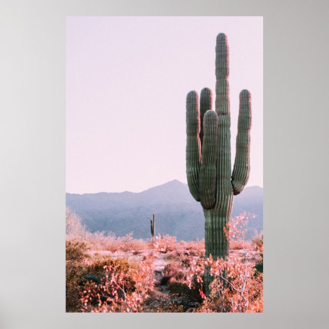 CACTUS PLANT BESIDE ORANGE LEAFED PLANT POSTER (Front)