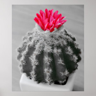 Cactus Plant Black White Photo With Pink Flower Poster