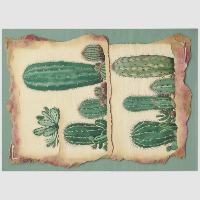Cactus Plant Ephemera Collage Art No2 Tissue Paper (Front)