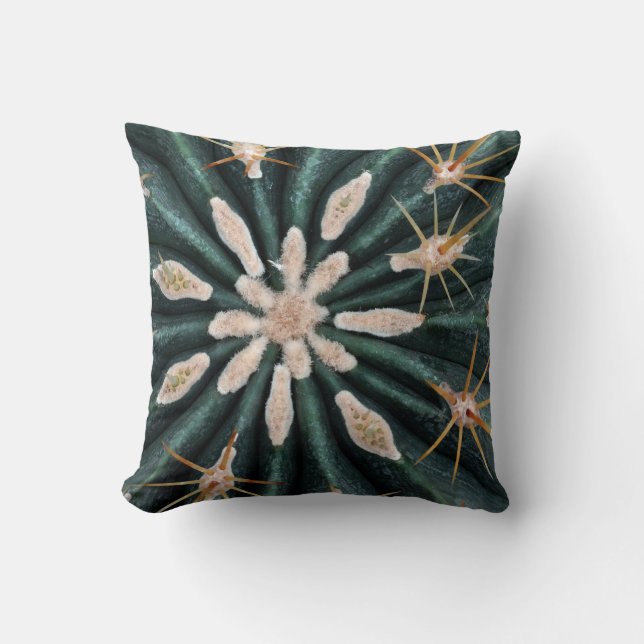 Cactus Plant Photo Throw Cushion 41 cm x 41 cm (Front)