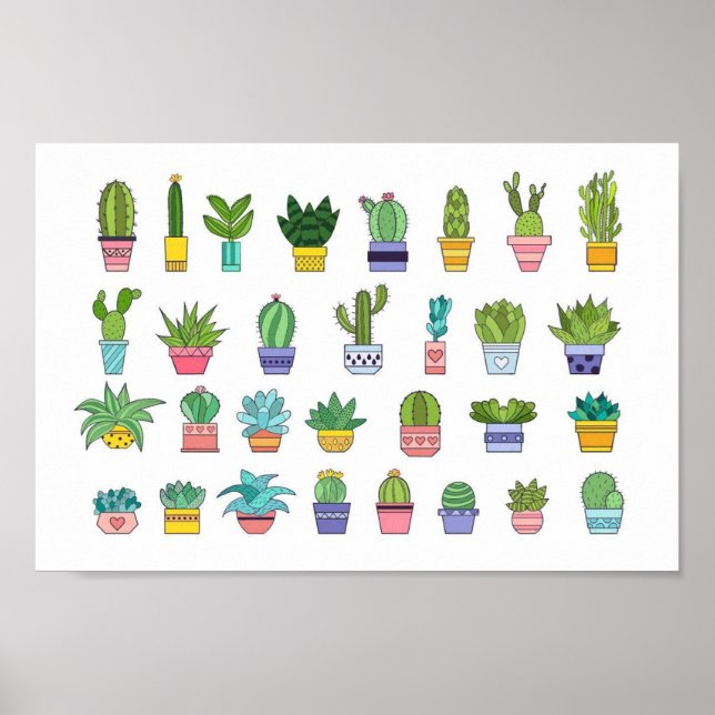 Cactus plants background poster (Front)
