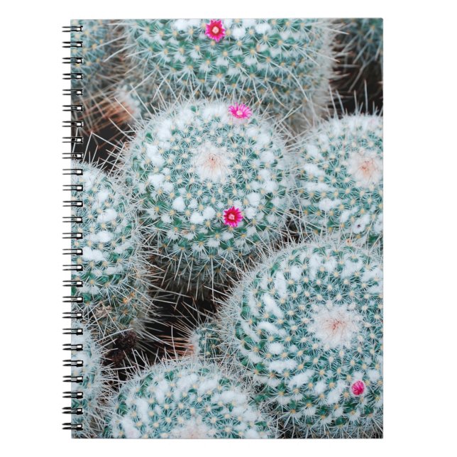Cactus Plants with Tiny Pink Flowers Notebook (Front)