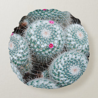 Cactus Plants with Tiny Pink Flowers Round Cushion