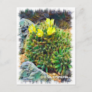 Cactus Postcard