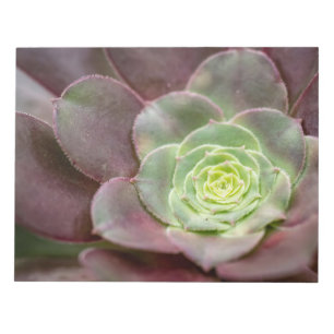 Cactus Print A Desert Cactus Flower Notepad