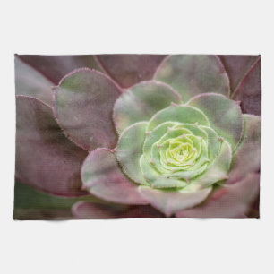 Cactus Print A Desert Cactus Flower Tea Towel
