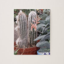 Cactus Puzzle
