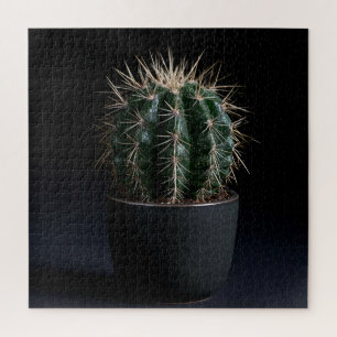Cactus Puzzle