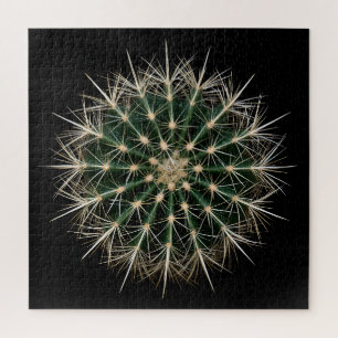Cactus Puzzle