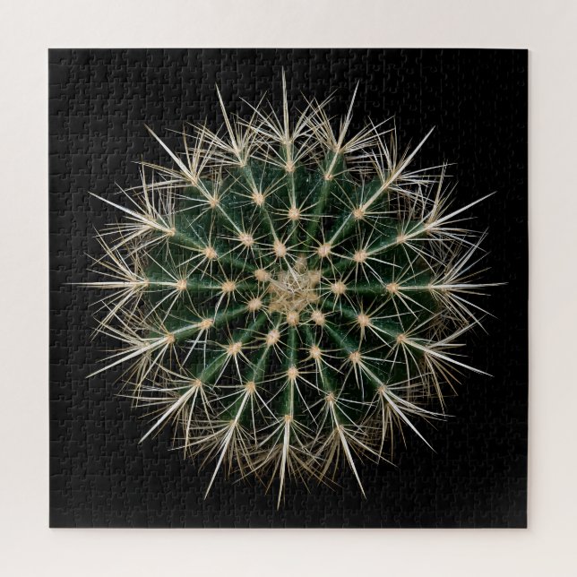 Cactus Puzzle (Vertical)