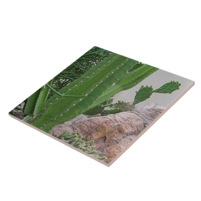 Cactus Rocks Cacti Southwest Landscape Tile (Side)