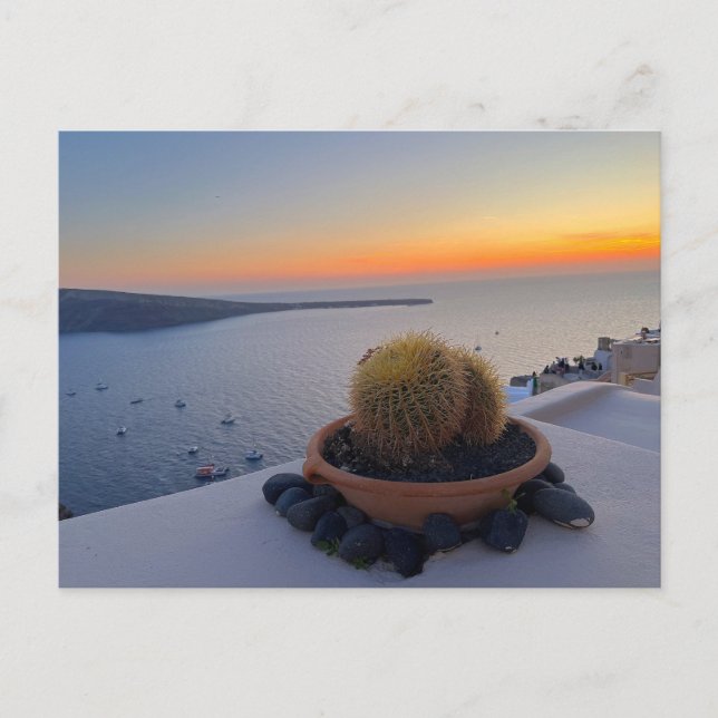 Cactus Santorini Greece Sunset Photography Postcard (Front)