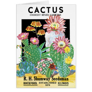 Cactus Seed Package