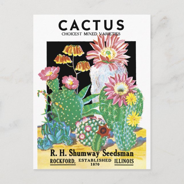 Cactus Seed Package Postcard (Front)