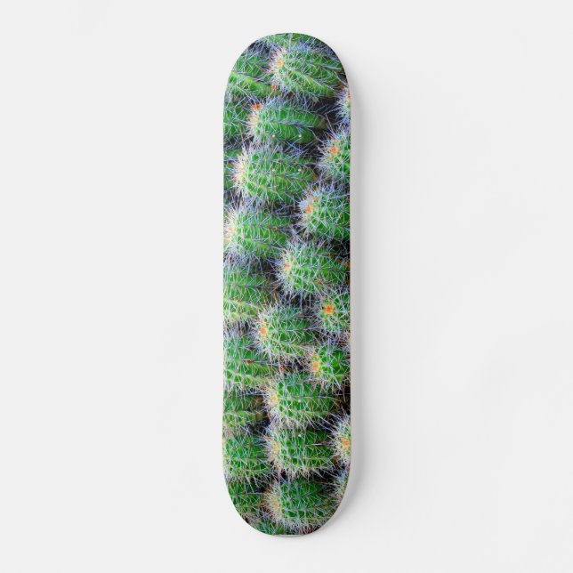 cactus skateboard deck (Front)