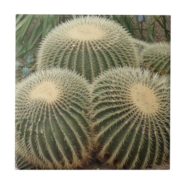 Cactus Small (4.25" x 4.25") Ceramic Photo Tile (Front)