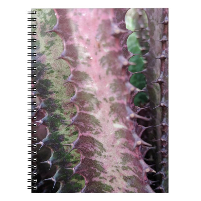 Cactus Spiral Notebook (Front)