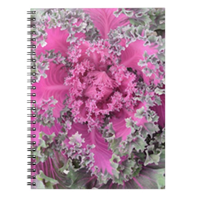 Cactus Spiral Notebook (Front)
