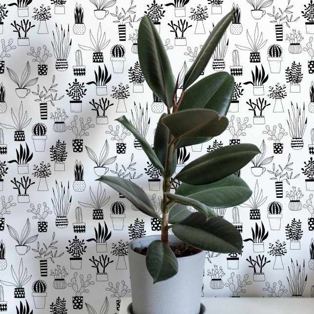 Cactus Succulent Black and White Art Wallpaper (Cactus cacti succulent house plant black and white art wallpaper)