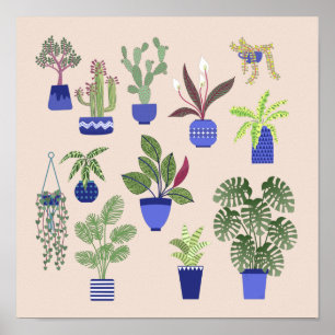 Cactus Succulent Houseplant Pink Poster