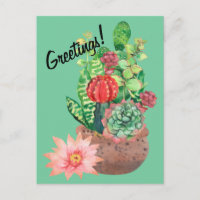Cactus, Succulents, Cactus Flower, Arrangement