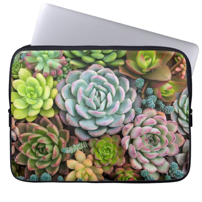Cactus Succulents laptop sleeves (Front)