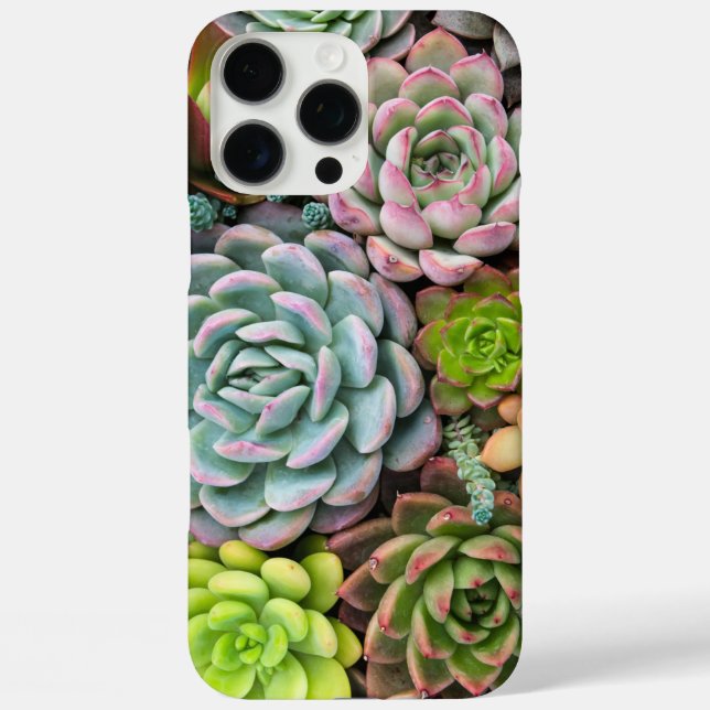 Cactus Succulents phone cases (Back)