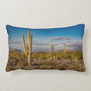 Cactus Sunset in Arizona Lumbar Cushion