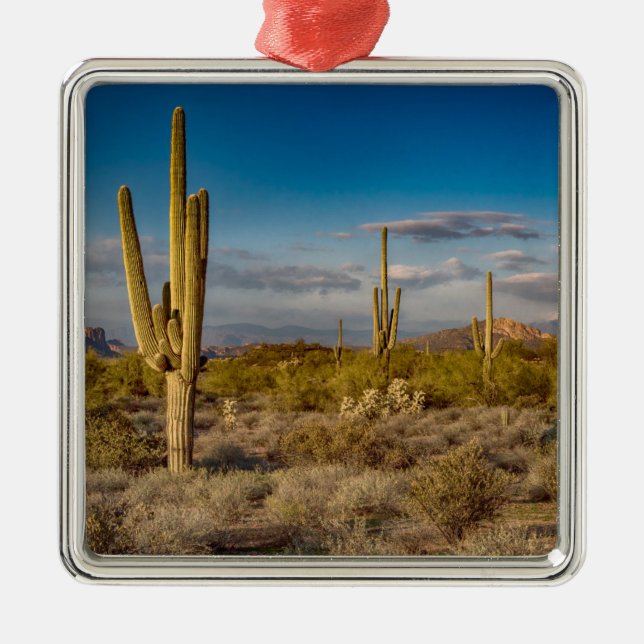 Cactus Sunset in Arizona Metal Tree Decoration (Front)