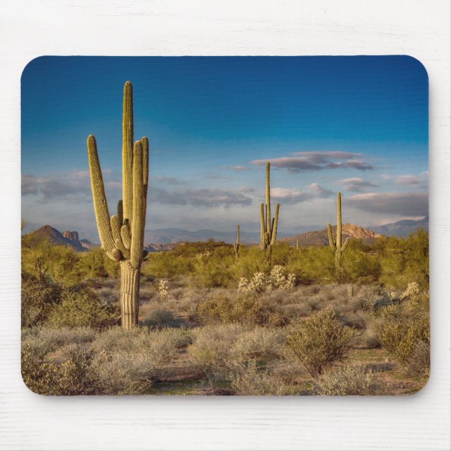 Cactus Sunset in Arizona Mouse Pad (Front)