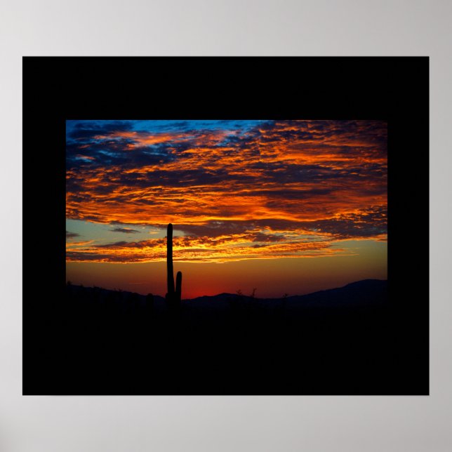 Cactus Sunset Poster (Front)