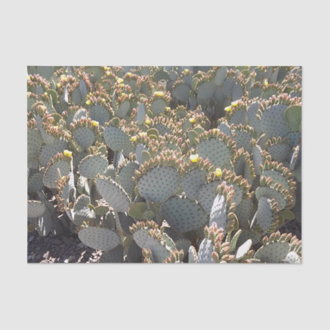 Cactus Tissue Paper (Front)