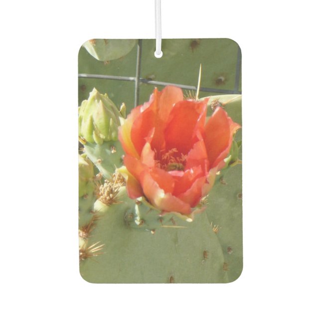 Cactus Tough and Beautiful car air freshener (Front)