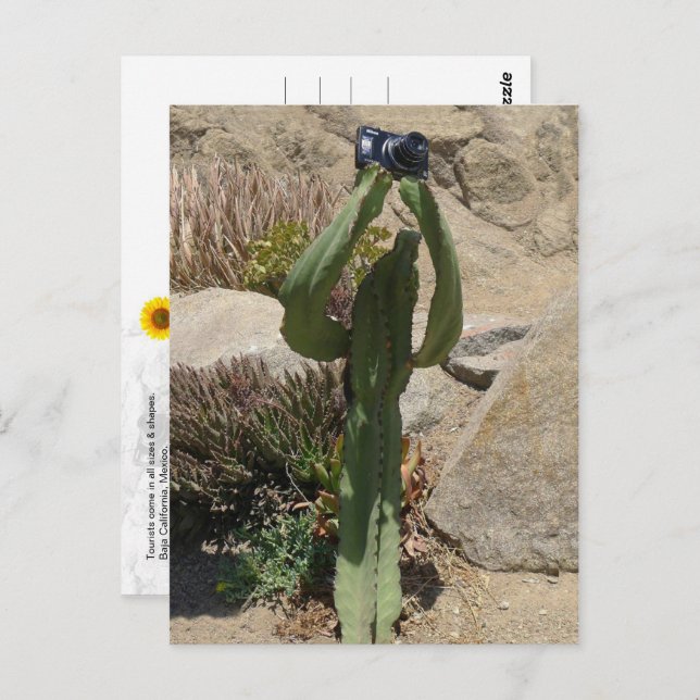 Cactus Tourist - postcard (Front/Back)