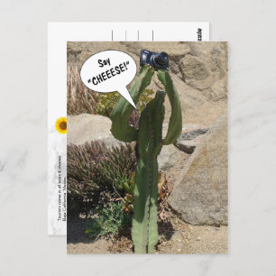 Cactus Tourist, Say CHEEESE - postcard