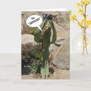 Cactus Tourist, Say QUEEESO - card