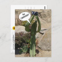 Cactus Tourist, Say QUEEESO - postcard