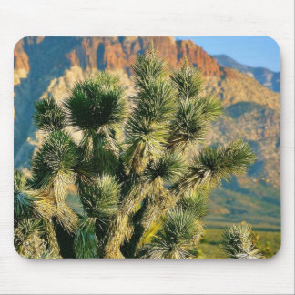 Cactus Tree Mouse Pad