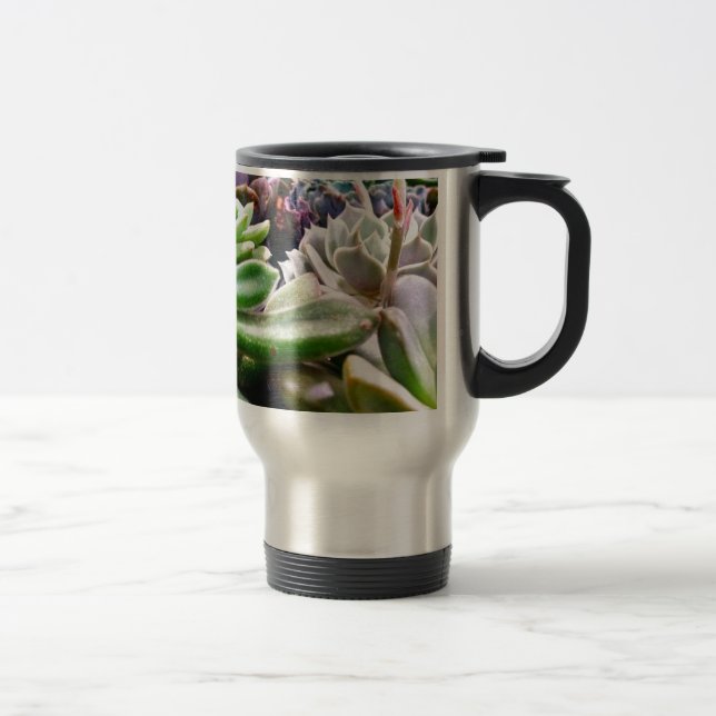 Cactus Variety Travel Mug (Right)