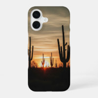 Cactus Vintage au Coucher du Soleil