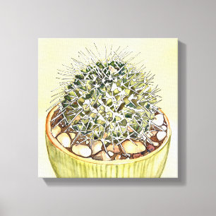 Cactus Watercolor by Debra Lee Baldwin Canvas Print