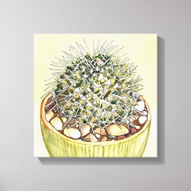 Cactus Watercolor by Debra Lee Baldwin Canvas Print (Front)