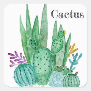 Cactus watercolor cacti flowers floral desert illu square sticker