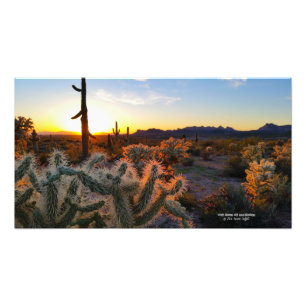 Cactus with Arizona sunset Superstition Wilderness Photo Print