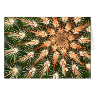 Cactus with Starburst Spines Greeting Card