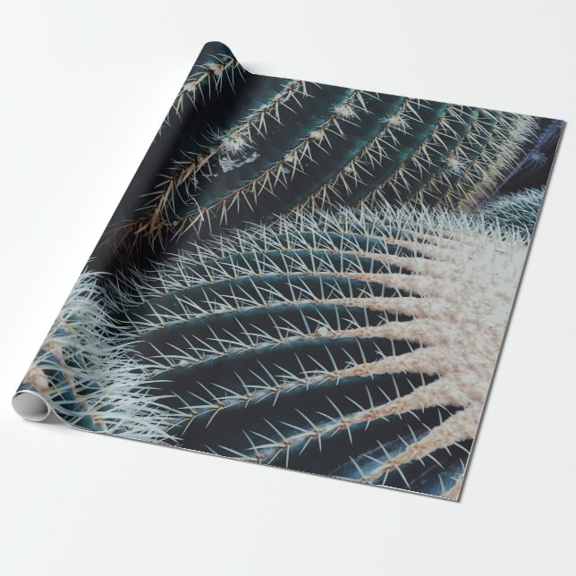 Cactus Wrapping Paper (Unrolled)